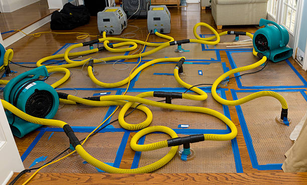Professional Crawl Space Water Removal technician working in Millstone Township, NJ